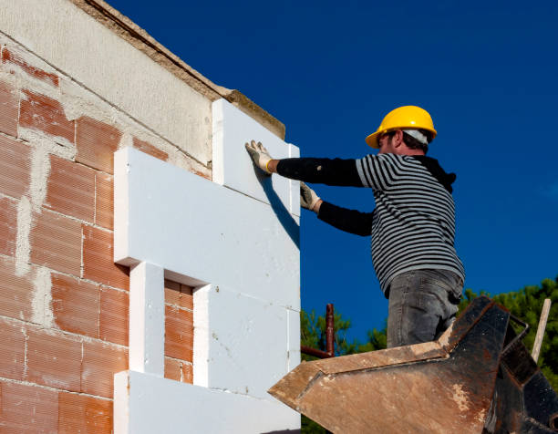 Best Cellulose Insulation in Pine Lakes, FL