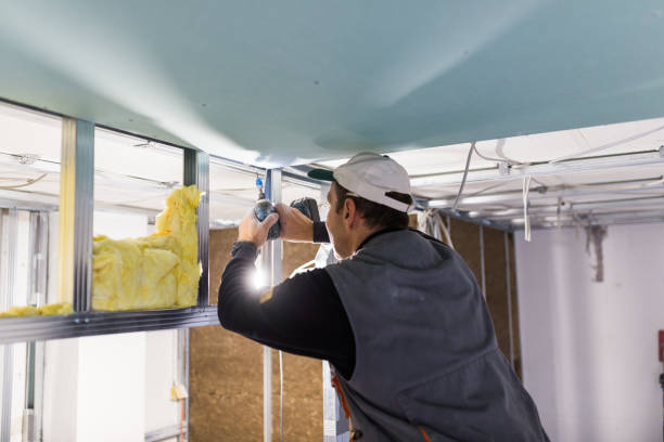Best Insulation Maintenance and Repair in Pine Lakes, FL