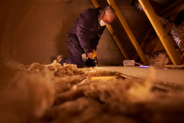 Best Eco-Friendly Insulation in Pine Lakes, FL
